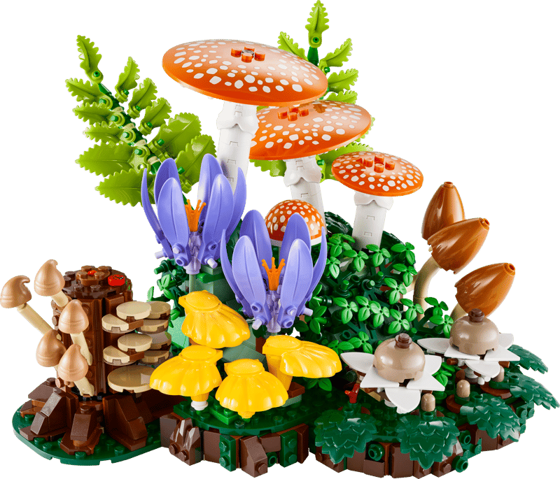 Woodland Mushrooms (11505)